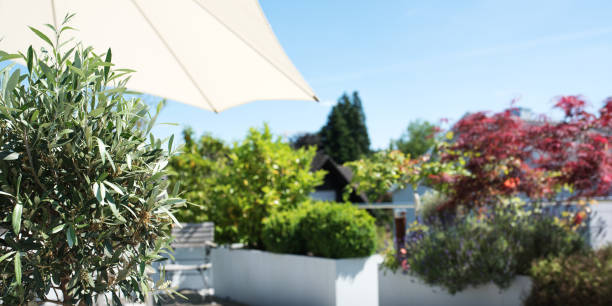 Wooden table and chairs in a beautiful garden. Landscape design of country houses. Chairs and place under an umbrella in the garden under the trees in flower beds.