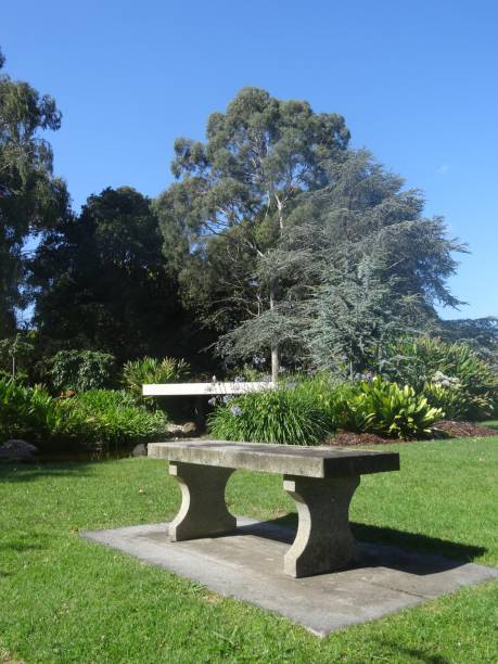 istock Empty seat in natural parkland 1219158957