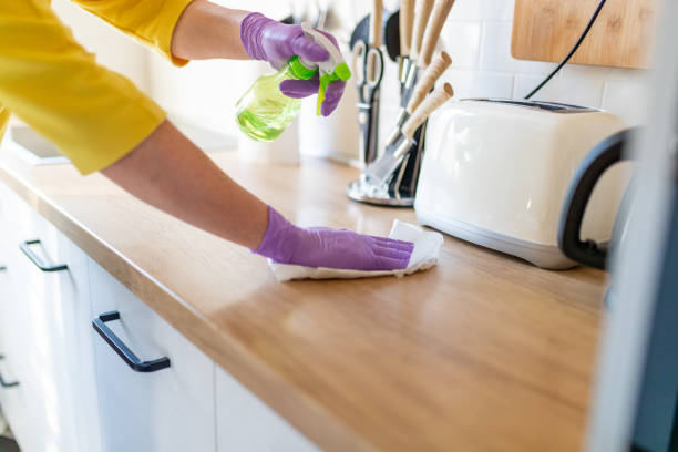 istock Disinfecting kitchen counter and wiping with paper towel 1219161730