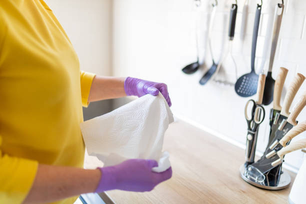 istock Disinfecting kitchen counter and wiping with paper towel 1219161773