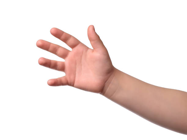 istock Child hand show five. Isolated obgect on white 1219164725