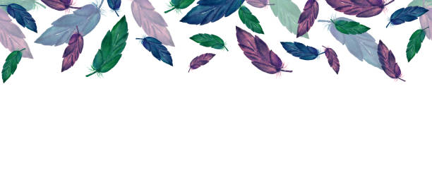 istock banner design with colorful falling feathers in purple, blue and green hues, seamless watercolor feather border 1219165081