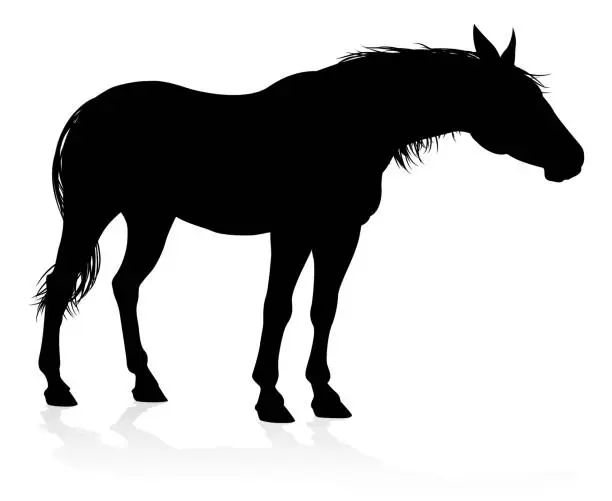 Vector illustration of Horse Animal Silhouette