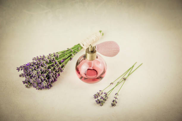 istock Vintage perfume bottle with lavender aroma. Lavender calming aroma scent concept on light beige background with fresh lavender bouquet. 1219165963