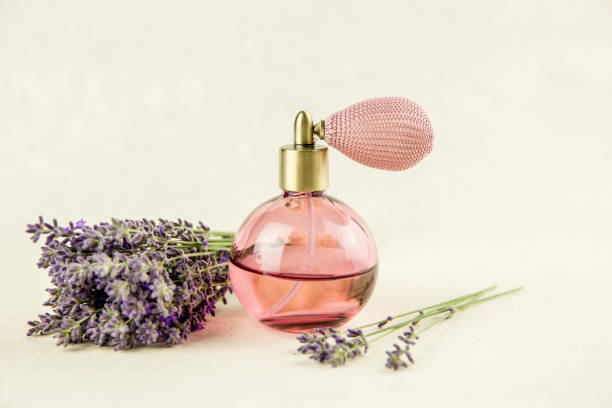 istock Vintage perfume bottle with lavender aroma. Lavender calming aroma scent concept on light beige background with fresh lavender bouquet. 1219165981