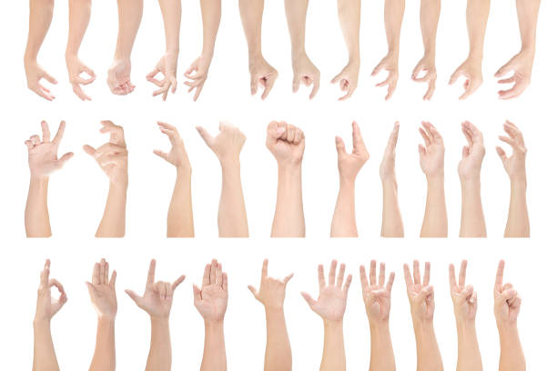 istock Multiple set of male hands gestures isolated on white background. with clipping path. 1219165983