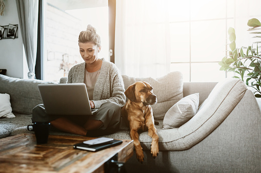 Mujer de negocios trabajando en computadora portátil sentada en casa con una mascota para perros y administrando su negocio a través de la oficina en casa durante Coronavirus o Covid-19 cuarentena photo