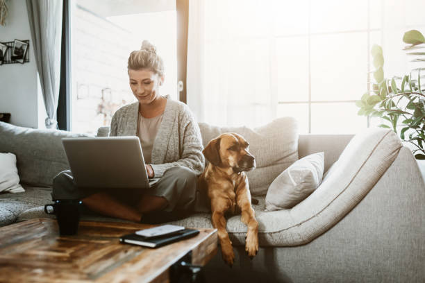 femme d’affaires travaillant sur l’ordinateur portable s’asseyant à la maison avec un animal de compagnie de chien et gérant son entreprise par l’intermédiaire du bureau à la maison pendant le coronavirus ou la quarantaine de covid-19 - home buisness photos et images de collection