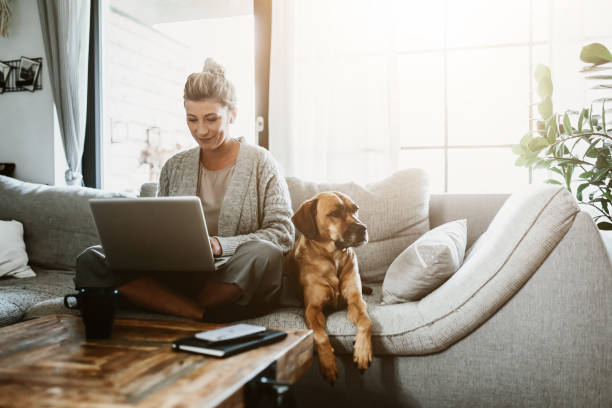 犬のペットと自宅に座って、コロナウイルスやcovid-19検疫中に自宅オフィスを介して彼女のビジネスを管理しているラップトップコンピュータに取り組んでいるビジネスウーマン - house shopping ストックフォトと画像
