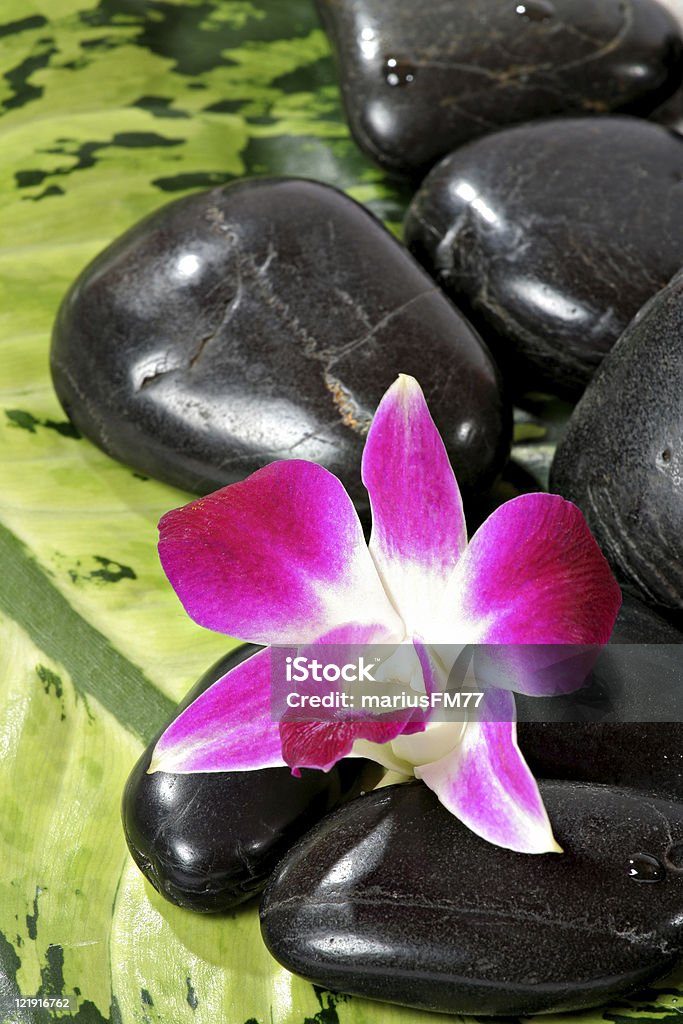 Piedras orquídea y masajes - Foto de stock de Accesorio personal libre de derechos
