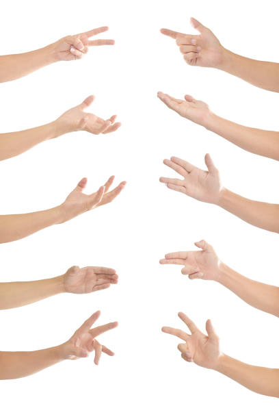 istock Collection of human hands in multiple gesture isolated on white background with clipping path. 1219169192