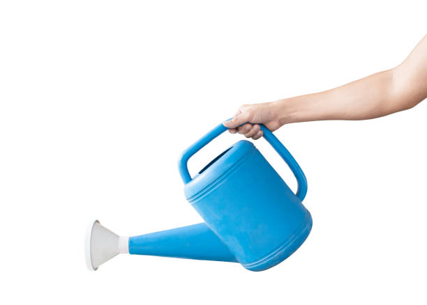 istock Hand holding a blue watering can, Isolated on white background with clipping path. Concept of gardening. 1219169221