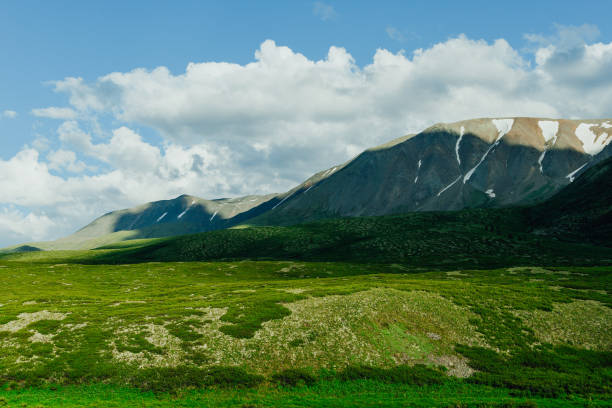 istock Soft hills with green grass under cloudy sky 1219173759