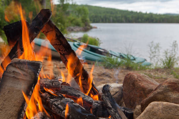 istock Campfire Near a Lake 1219176887
