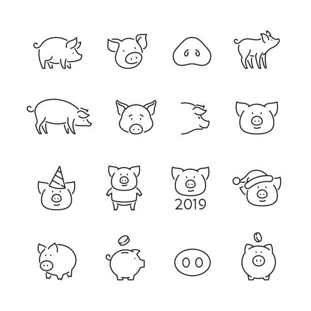 Pig related icons Pig related icons: thin vector icon set, black and white kit piglet stock illustrations