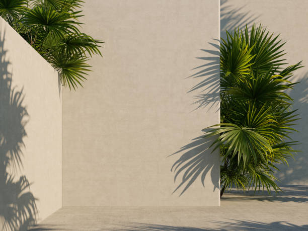 istock Bright white wall with green tropical leaves, sunlight with shadows. Summer, spring background. 3d rendering. 1219179108
