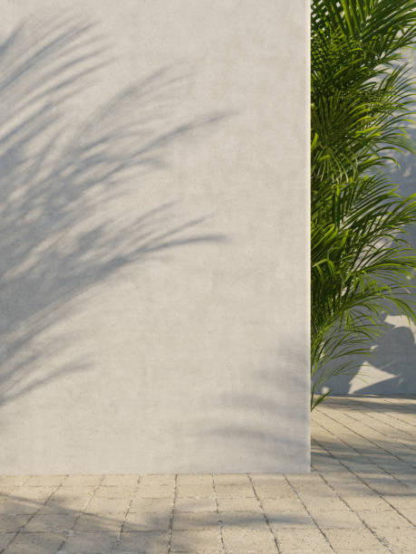 istock Bright white wall with green tropical leaves, sunlight with shadows. Summer, spring background. 3d rendering. 1219179385