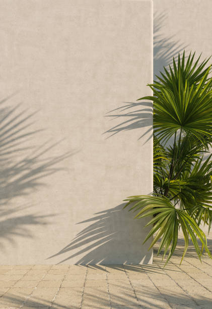 istock Bright white wall with green tropical leaves, sunlight with shadows. Summer, spring background. 3d rendering. 1219180005