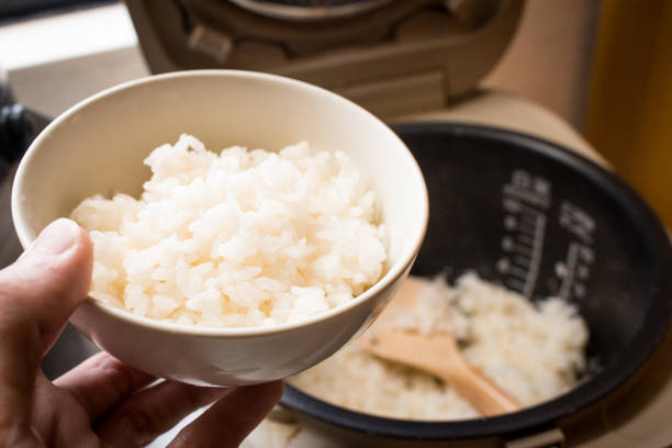 Japanese steamed rice in bowl with rice cooker. stock photo