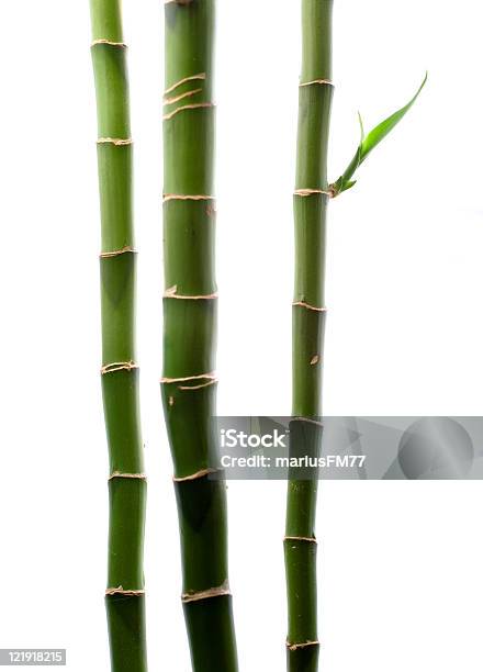 Bamboo Stock Photo - Download Image Now - Bamboo - Material, Bamboo - Plant, White Background