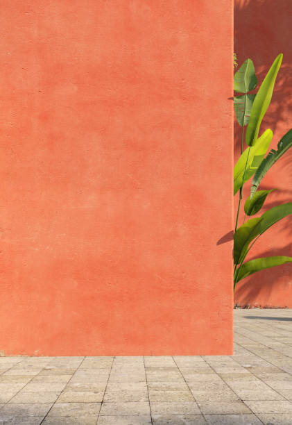 istock Bright orange painted walls with green tropical leaves, sunlight with shadows. Summer, spring background. 3d rendering. 1219183160