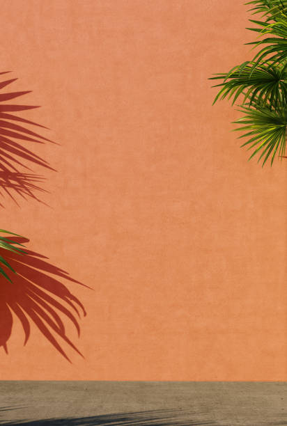 istock Bright orange painted walls with green tropical leaves, sunlight with shadows. Summer, spring background. 3d rendering. 1219183309