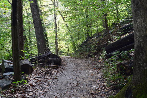 Rock Creek Park Trail in the Spring Time