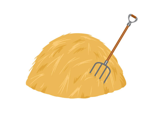 Haystack And Pitchfork Isolated On White Background Vector Stock  Illustration In Cartoon Simple Flat Style Stock Illustration - Download  Image Now - iStock