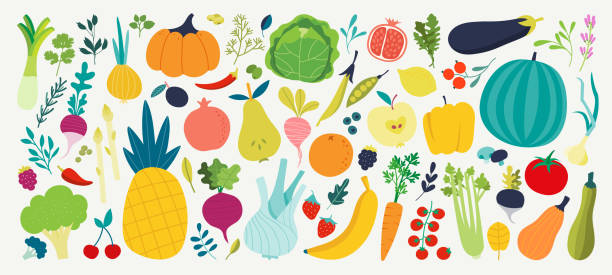 doodle meyveler. doğal tropikal meyve, doodles narenciye portakal ve vitamin limon. vegan mutfak elma el çizilmiş vektör illüstrasyon - meyve illüstrasyonlar stock illustrations
