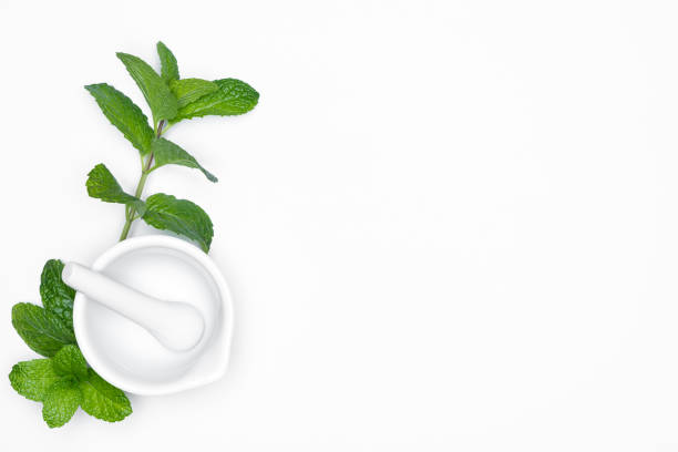 istock Mortar Grinder drugs with fresh herbs - Mints isolated on white background.  For copy space. 1219189412