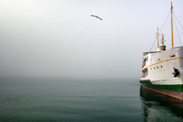 Cargo ships standing on the roadstead