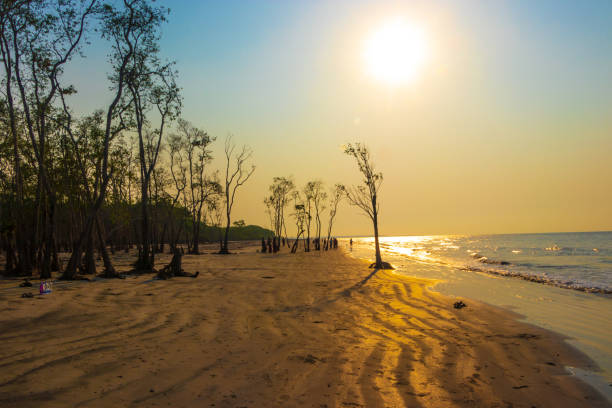 istock SunRise from a sea beach, kotka, sundarbans 1219192592