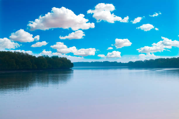 istock River, sky and trees around, a landscape view 1219192645