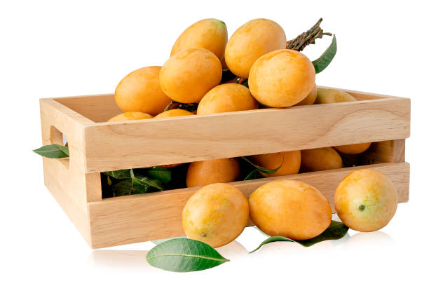 thai plango, plum mango, mayongchid, maprang o dulce amarillo marian plum fruta aislada sobre fondo blanco con camino de recorte. - marian fotografías e imágenes de stock