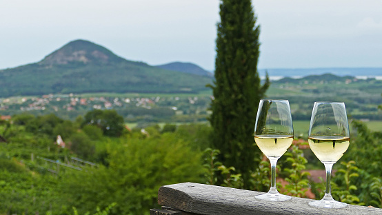 The volcanic hill of Badacsony is a famous wine region having superb mineral white wines
