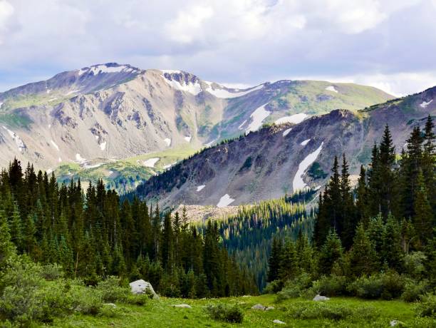 istock Beautiful meadow with mountains in the background 1219197064