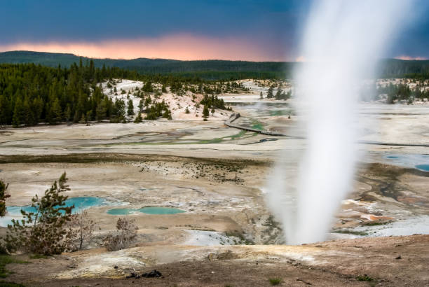 Steaming hot springs during sunset over Yellowstone National Park's Norris Geyser Basin Hot springs spewing steam while the sun sets over Norris Geyser Basin norris geyser basin photos stock pictures, royalty-free photos & images
