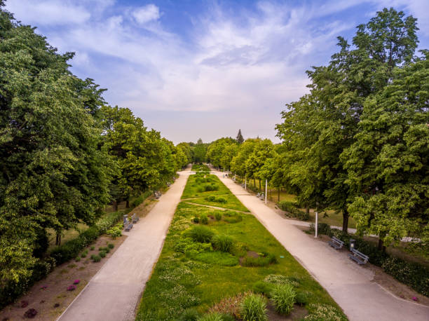 istock Green areas in Leszno 1219198421