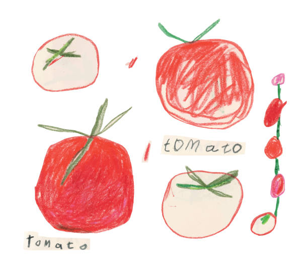 illustrations, cliparts, dessins animés et icônes de tomates dessinées à la main - crayon pastel illustrations
