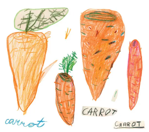 Vector illustration of Hand drawn carrot set