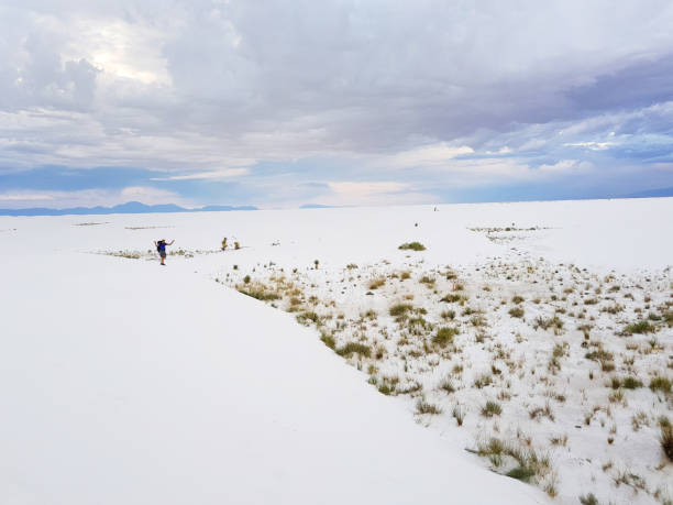 istock White Sands sand dunes in New Mexico 1219200509