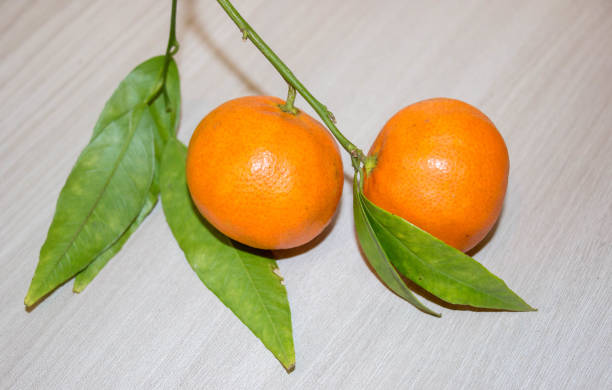 istock Oranges and mandarin inside on the table, made in Sicily 1219200602