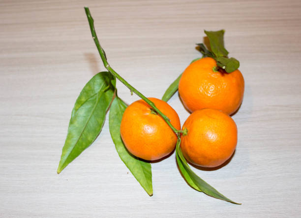 istock Oranges and mandarin inside on the table, made in Sicily 1219200603