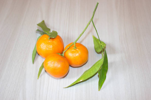 istock Oranges and mandarin inside on the table, made in Sicily 1219200618