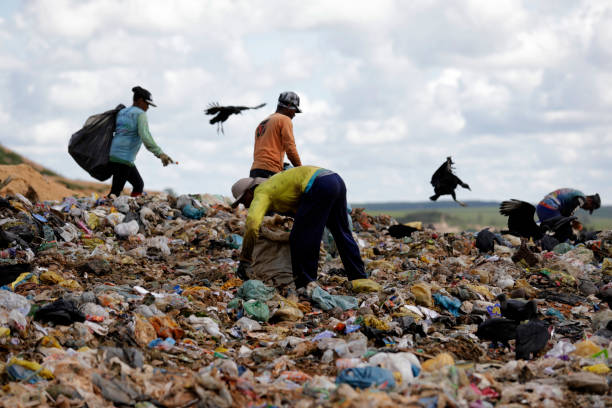 zbieranie materiałów do recyklingu śmieci - landfill garbage dump garbage bird zdjęcia i obrazy z banku zdjęć