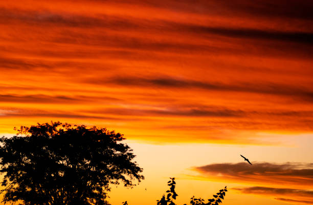 istock Late afternoon with orange sky 1219200815
