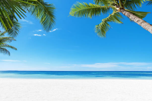 istock Exotic tropical beach scene for background or wallpaper 1219202379