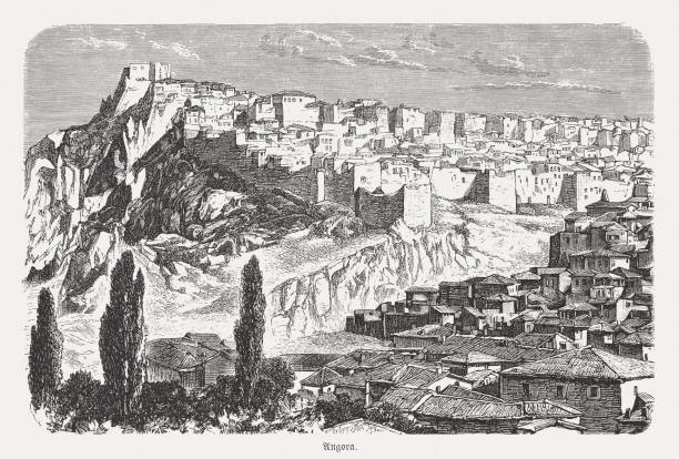 ilustraciones, imágenes clip art, dibujos animados e iconos de stock de vista histórica de ankara, turquía, grabado en madera, publicado en 1893 - ankara