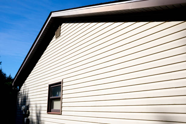 istock House with pale yellow vinyl siding 1219205338