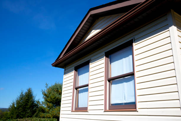istock House with pale yellow vinyl siding 1219205341